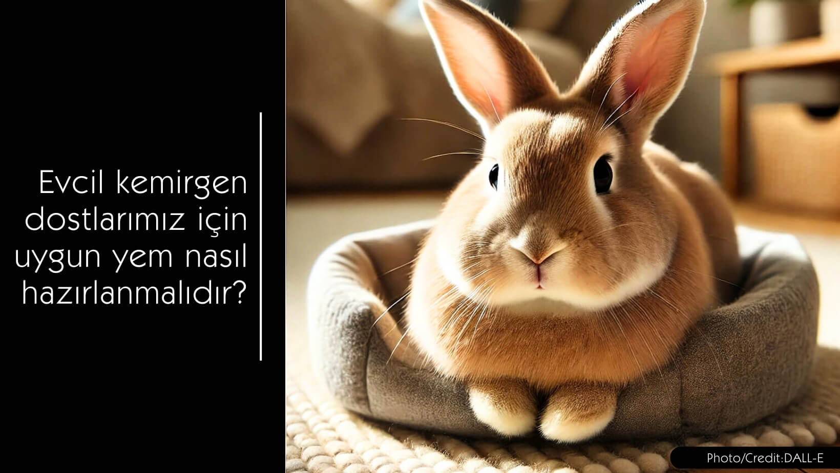 Evcil kemirgenler için uygun kemirgen yemi nasıl hazırlanmalıdır? - MVC Organic Yem