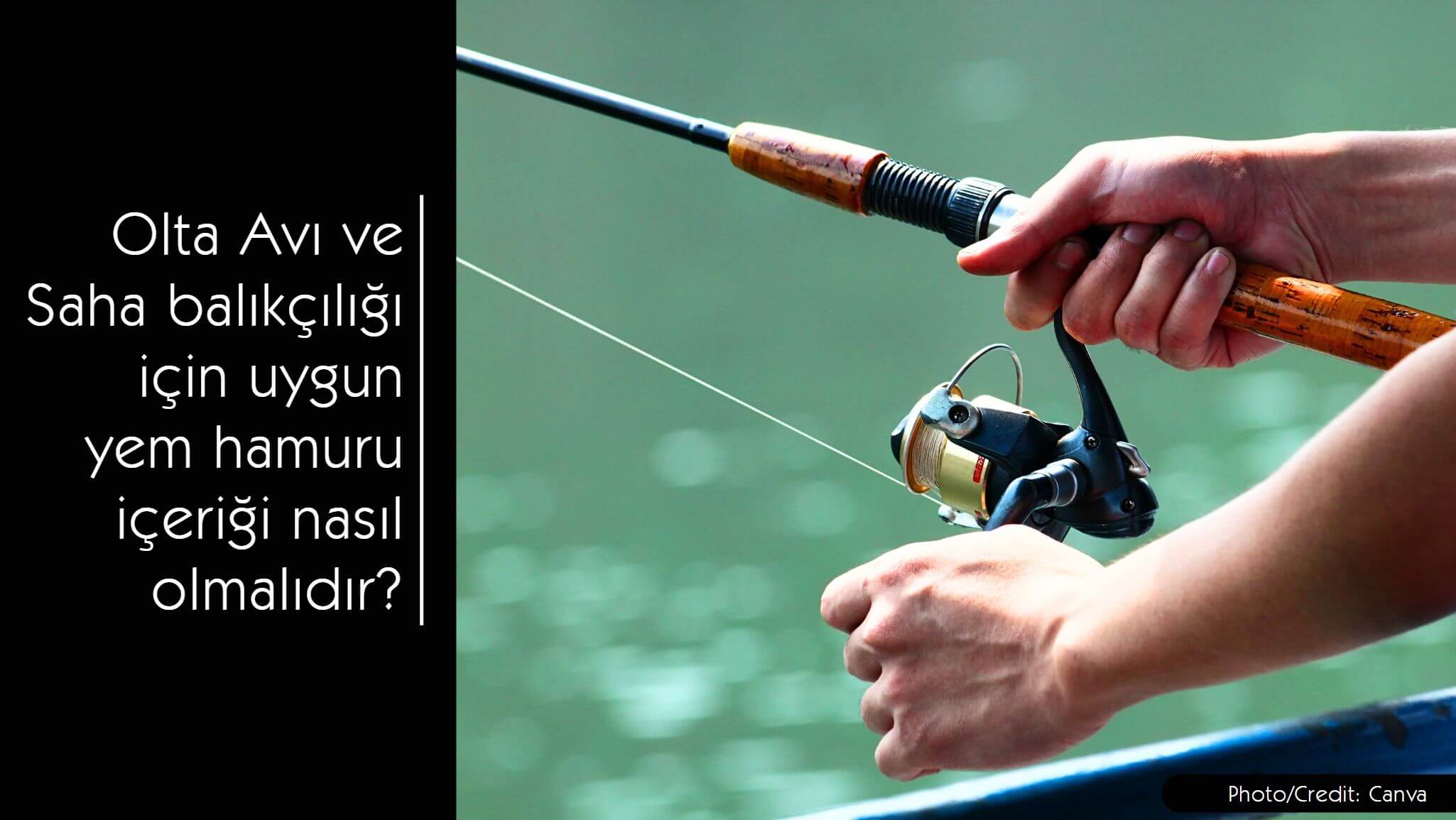 Olta Avı ve Saha balıkçılığı için uygun yem hamuru içeriği nasıl olmalıdır? - MVC Organic Yem