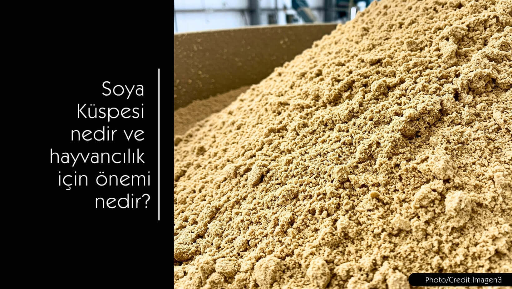Soya Küspesi nedir ve hayvancılık için önemi nedir? - MVC Organic Yem