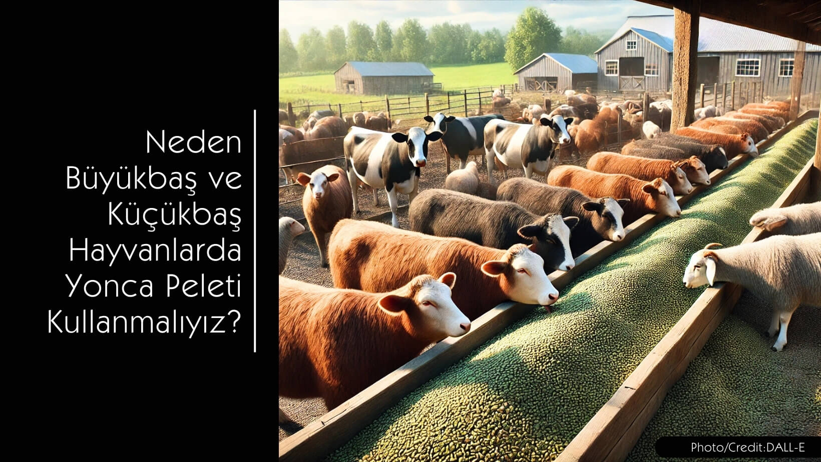 Büyükbaş ve Küçükbaş Hayvanlarda Neden Yonca Peleti Kullanmalıyız? - MVC Organic Yem