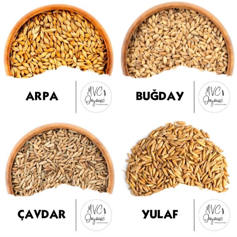 Toptan Hammadde - MVC Organic Yem
