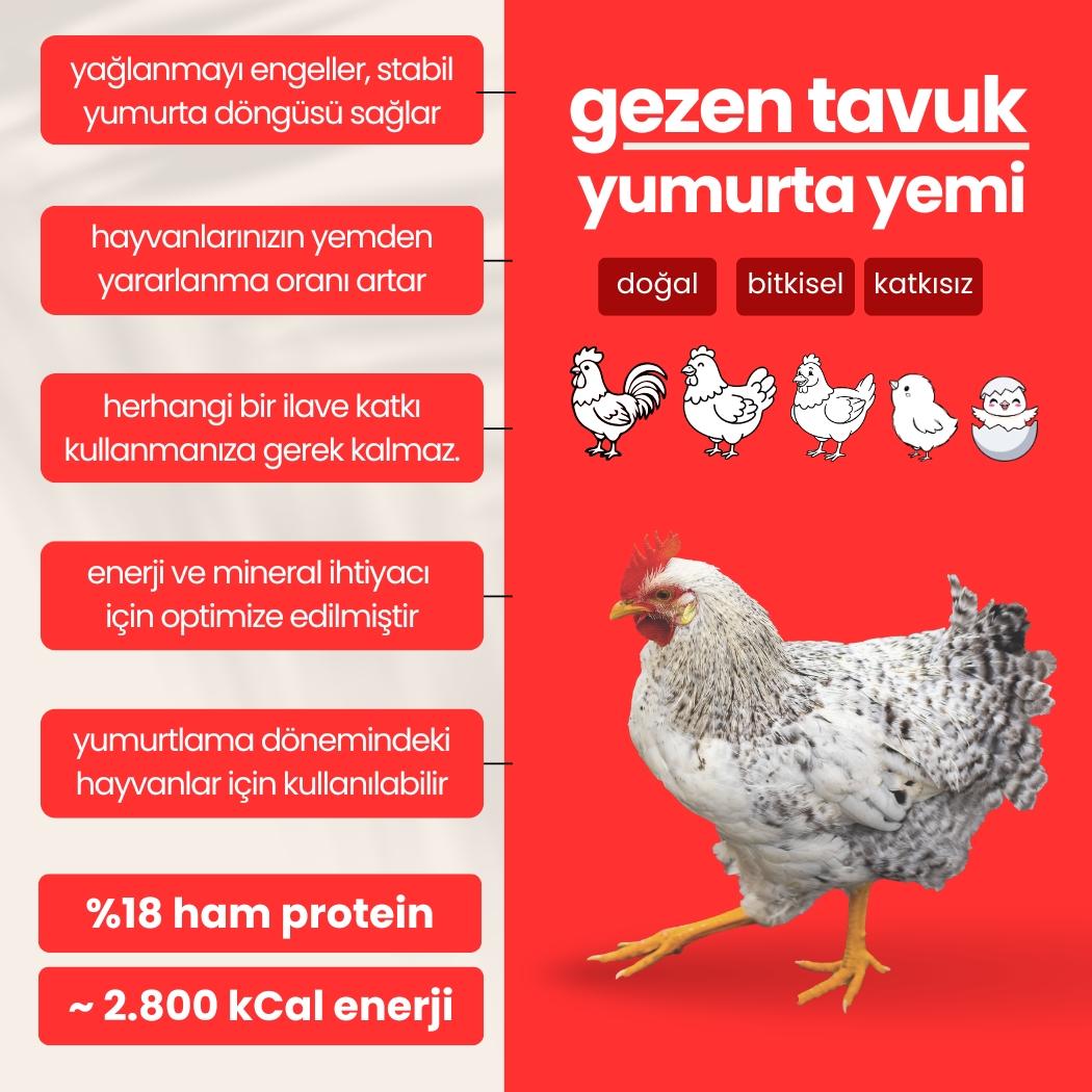 Yumurta Yemi - (18 Ham Protein)