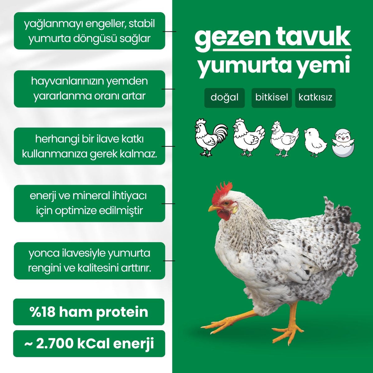 Yoncalı Yumurta Yemi - (18 Ham Protein)