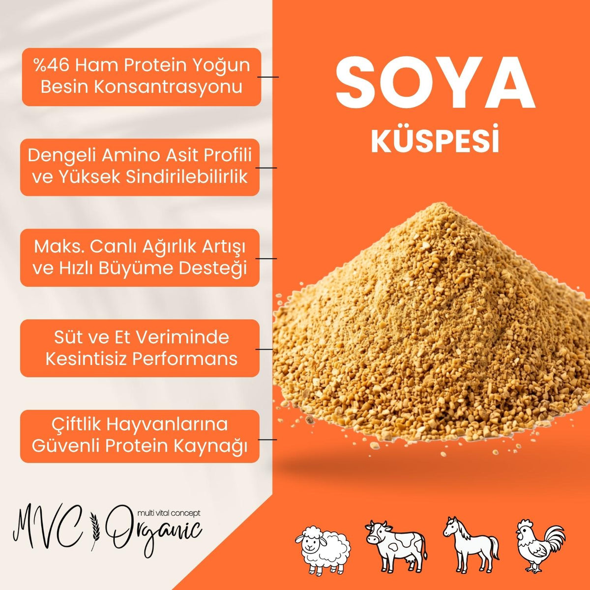 Soya Küspesi - (46 Ham Protein)