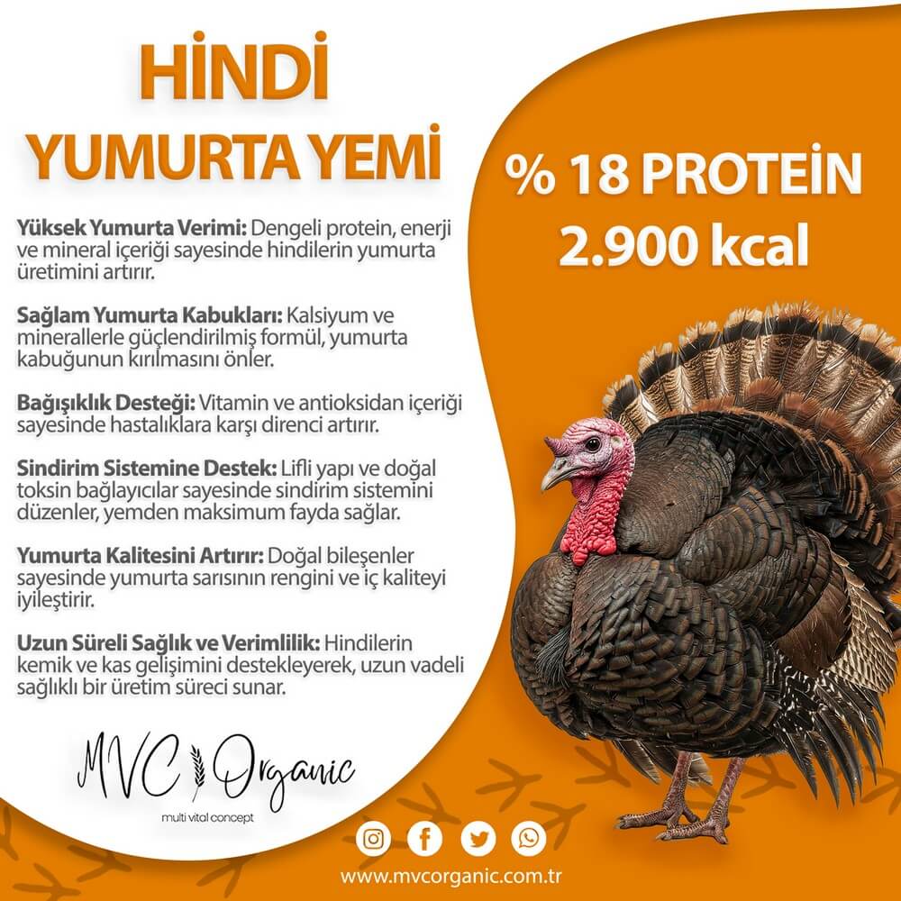 Hindi Yumurta Yemi - MVC Organic Yem