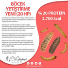 Böcek Yetiştirme Yemi (20 Protein)