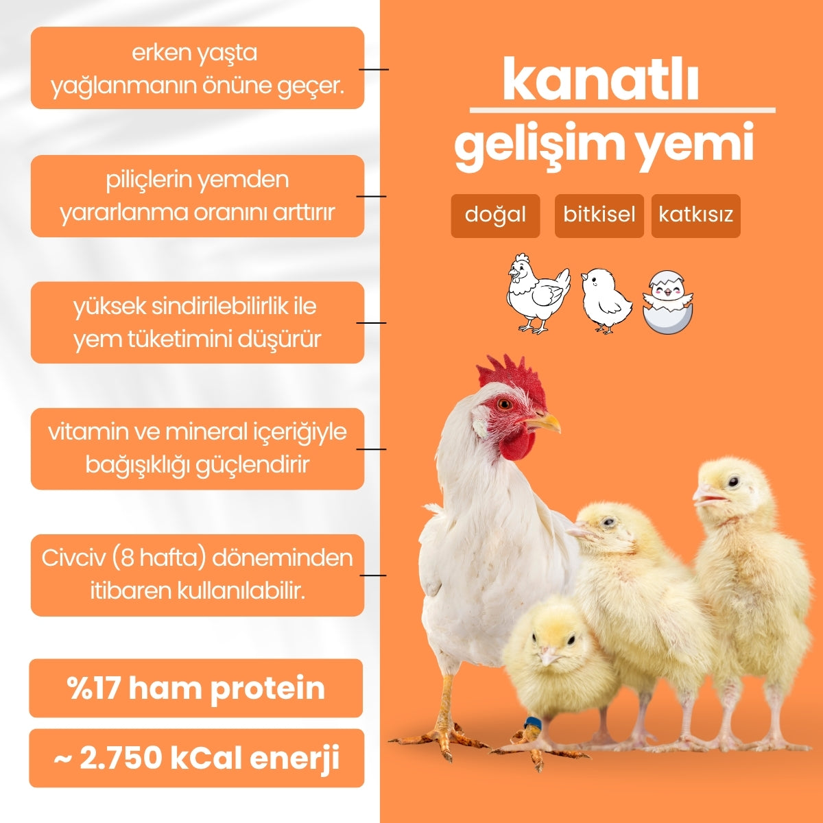 Piliç Geliştirme Yemi (17 Ham Protein)