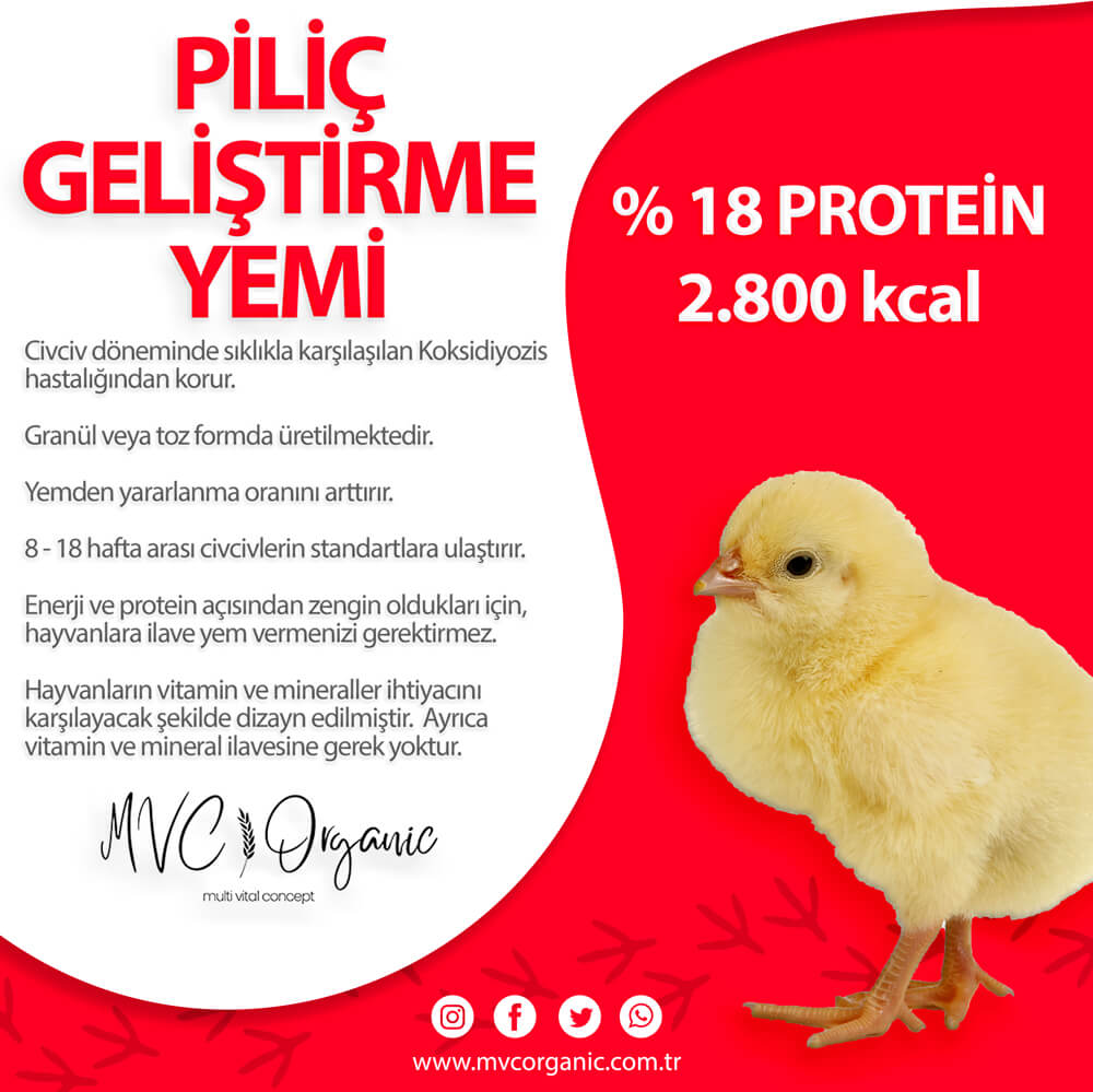 Kapak Yumurtacı Gelişim Yemi (18HP) - MVC Organic Yem