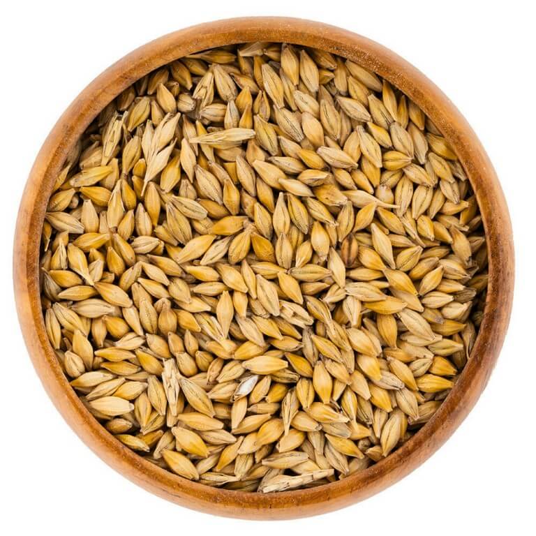 Yemlik Arpa - MVC Organic Yem