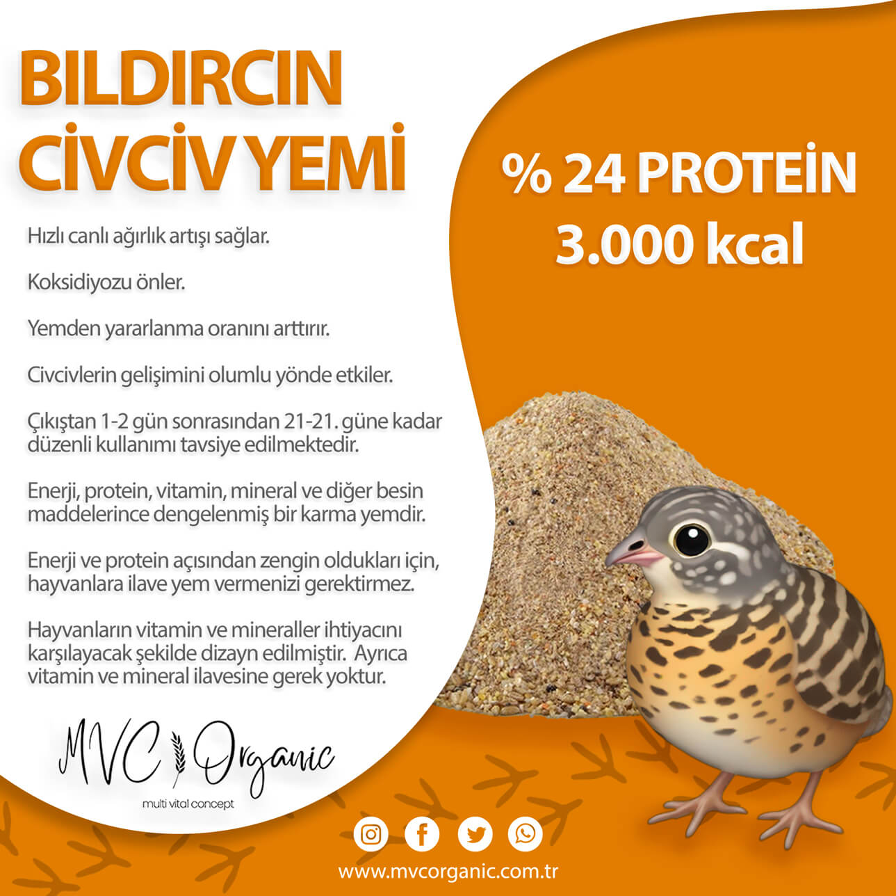 Bıldırcın Civciv Yemi (24 Ham Protein)