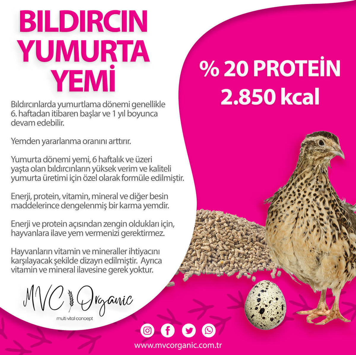 Bıldırcın Yumurta Yemi (20HP) - MVC Organic Yem