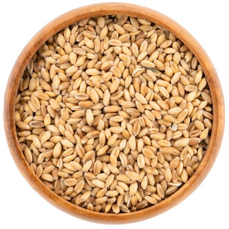 Yemlik Buğday - Yem Hammaddeleri - MVC Organic - MVC Organic Yem