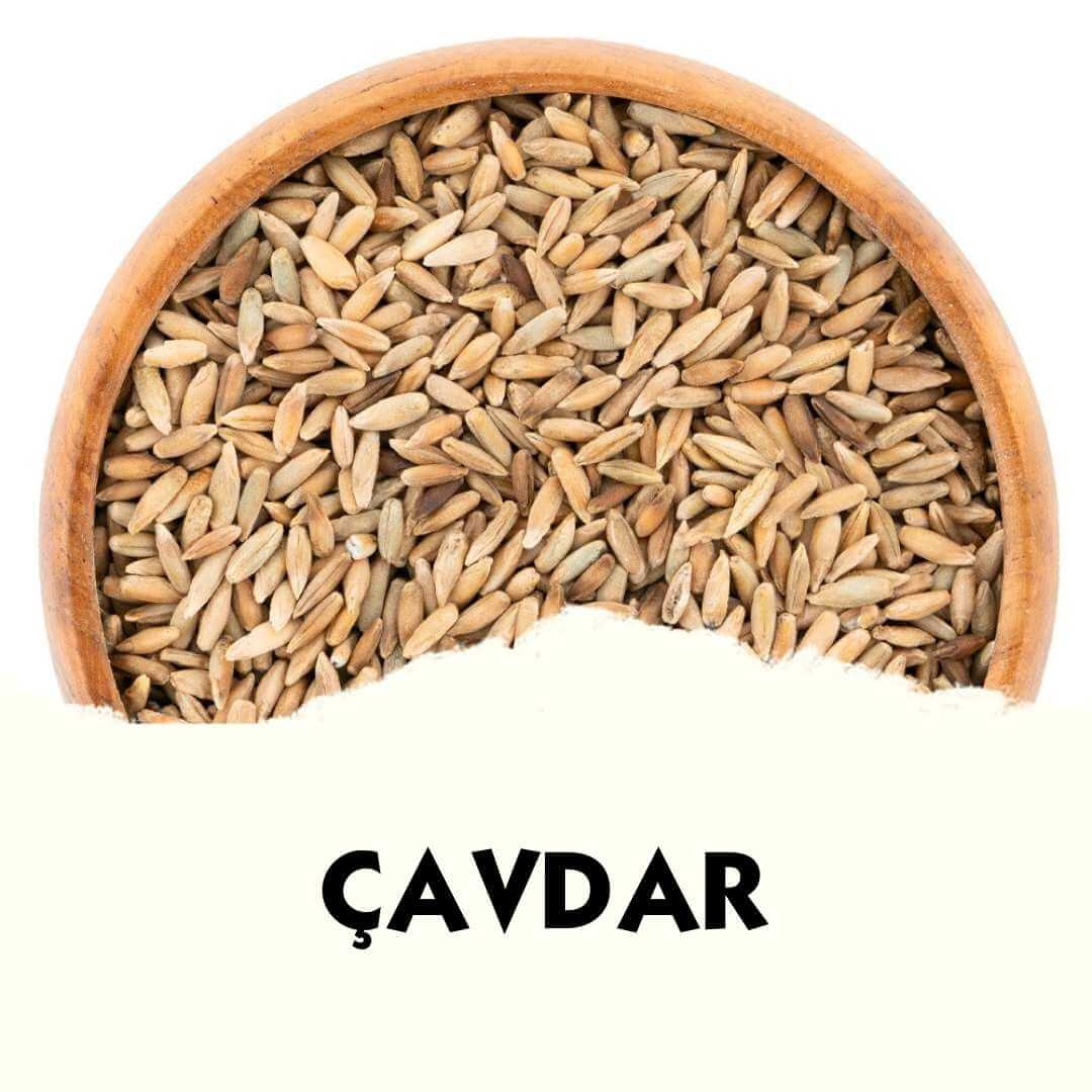 Çavdar - MVC Organic Yem