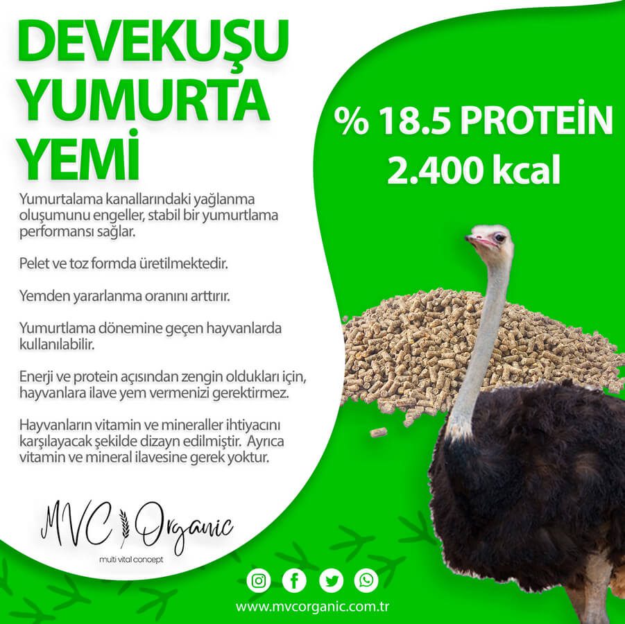 Devekuşu Yumurta Yemi - MVC Organic Yem