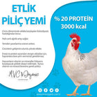 Etlik Piliç Yemi (20 Ham Protein)