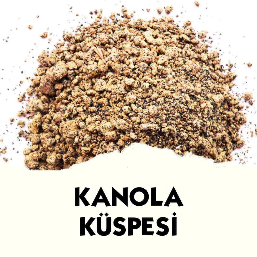 Kanola Küspesi - MVC Organic Yem