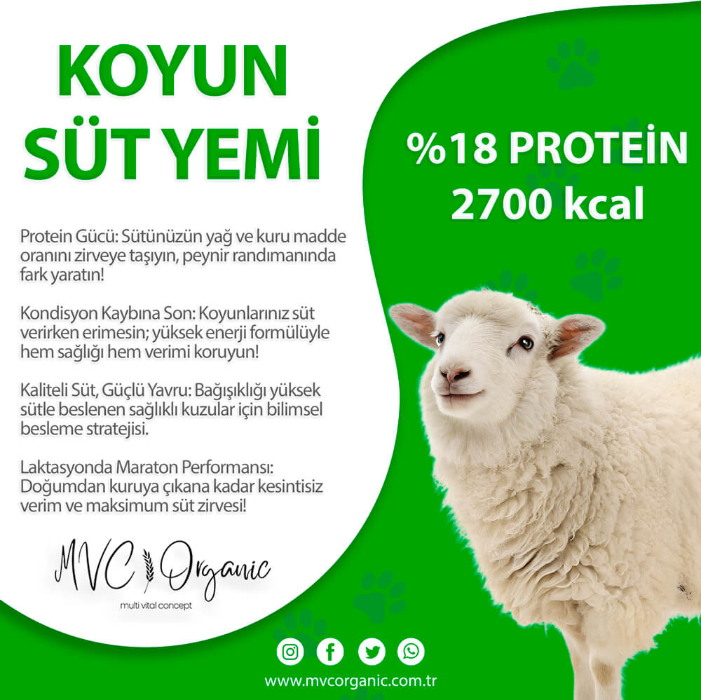 Koyun Süt Yemi - MVC Organic Yem