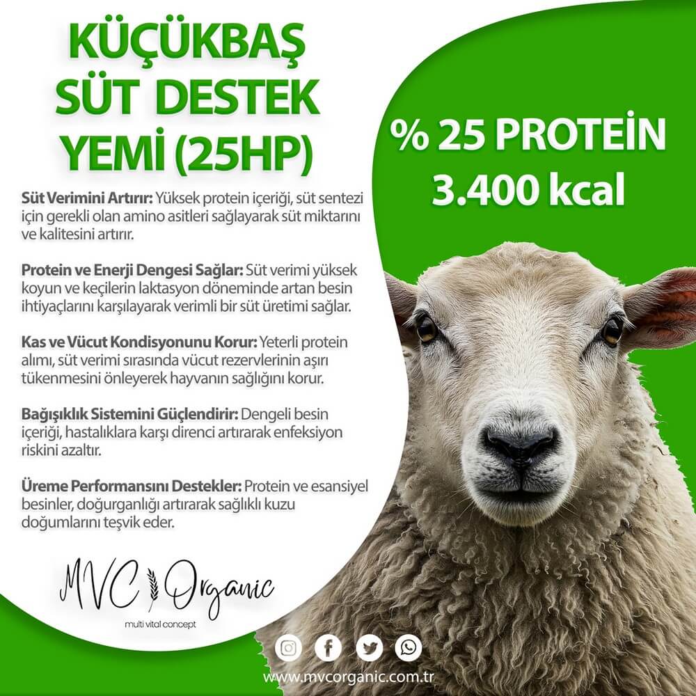 Küçükbaş Süt Destek Yemi - MVC Organic Yem