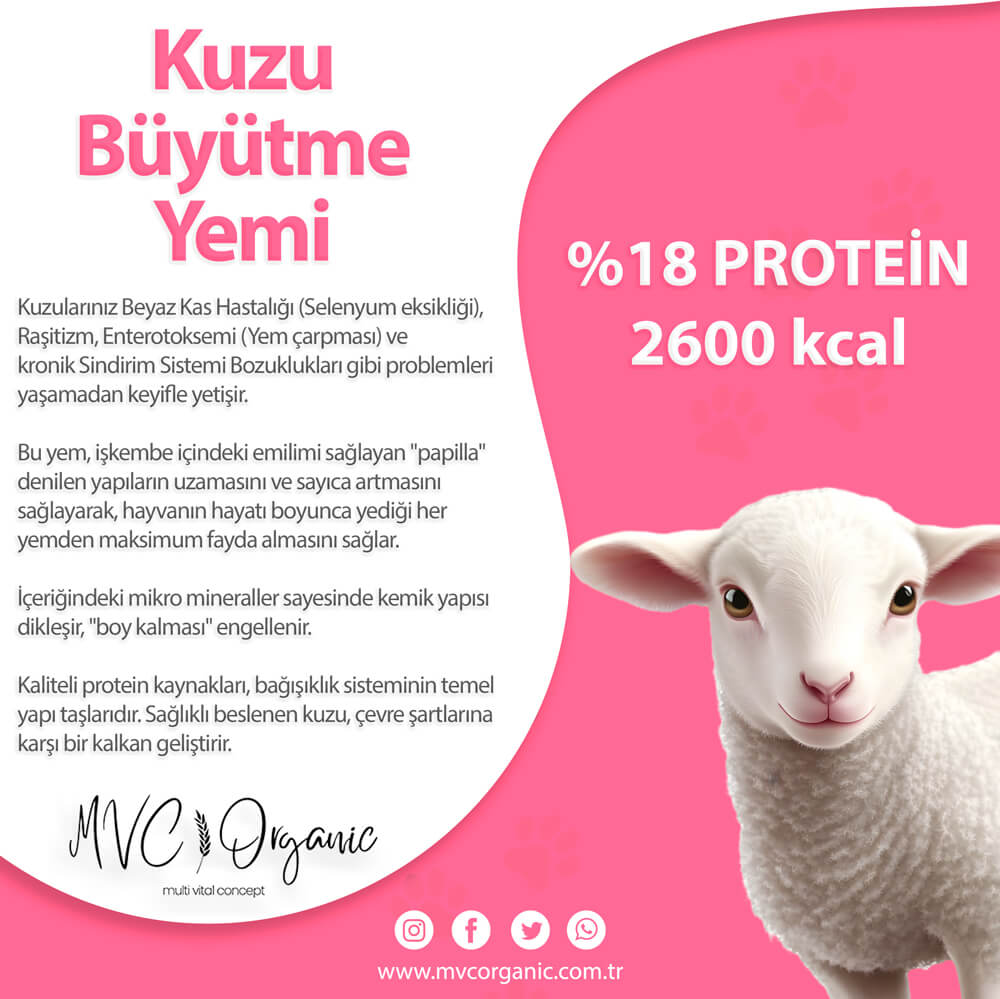 Kuzu Büyütme Yemi - MVC Organic Yem