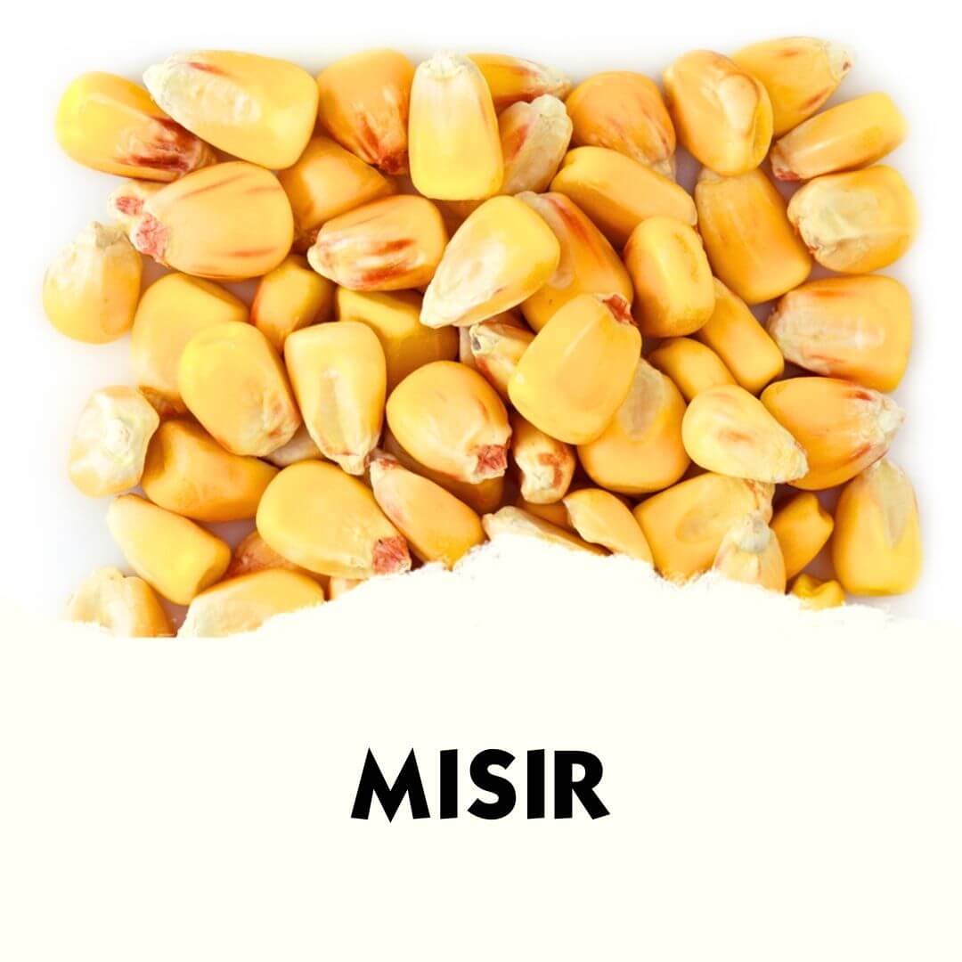 Yemlik Mısır - MVC Organic Yem