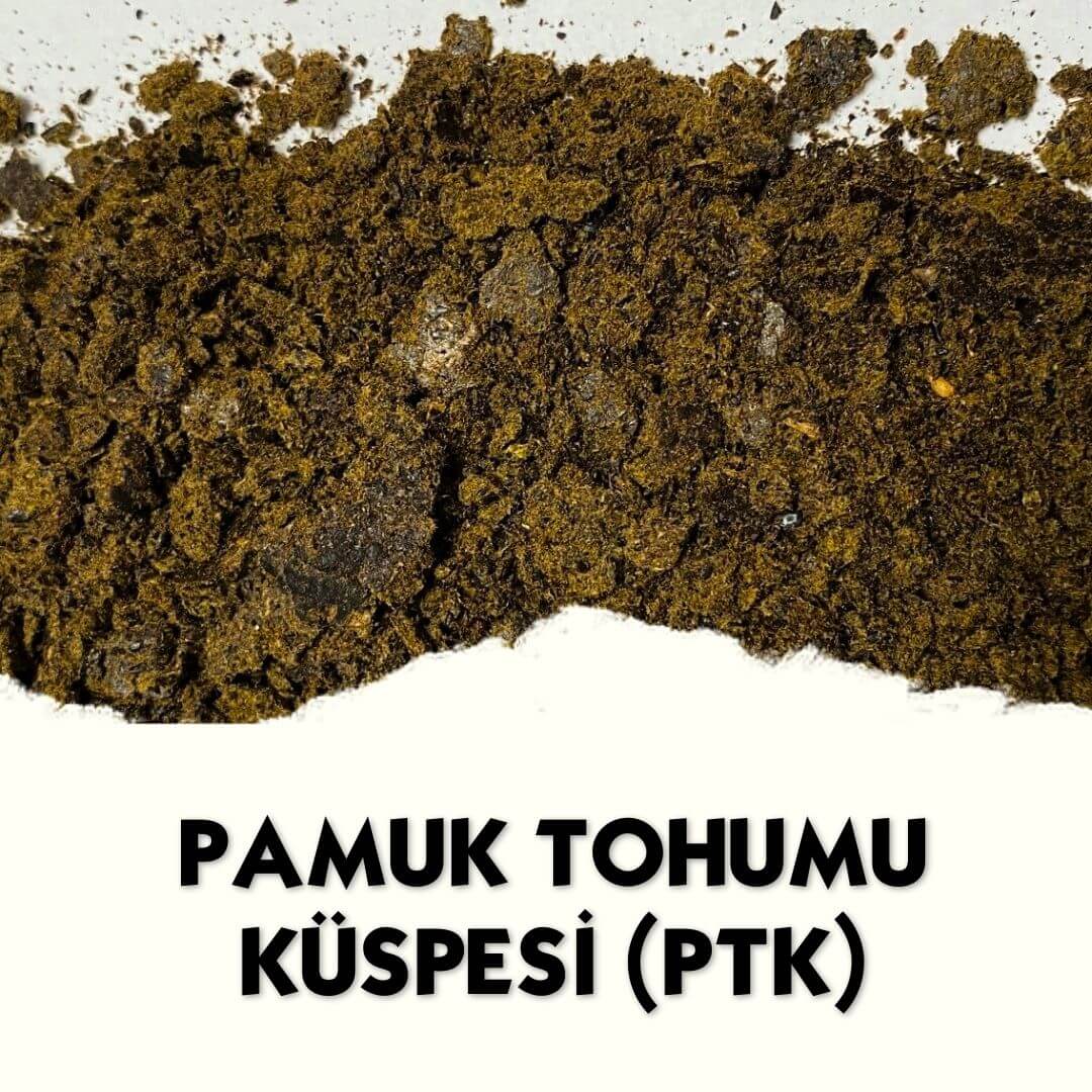 Pamuk Tohumu Küspesi (PTK) - MVC Organic Yem