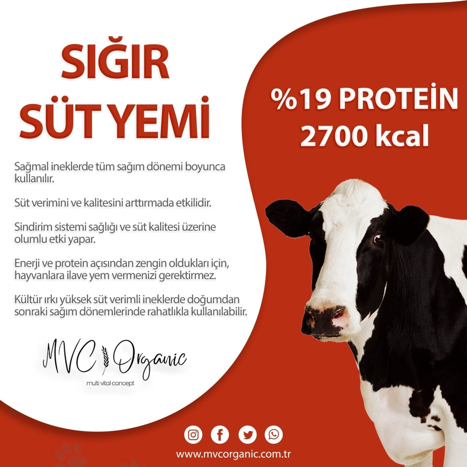 Sığır Süt Yemi (17HP/19HP) - MVC Organic Yem