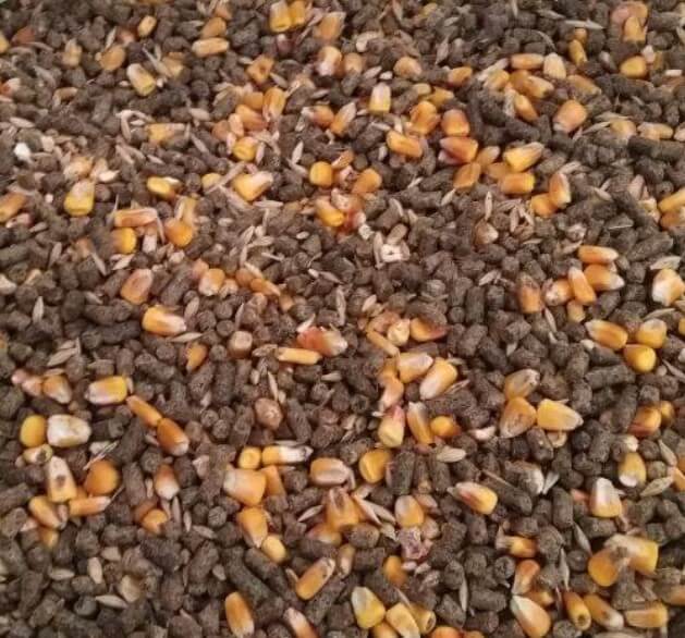 Örnek Görüntü Toklu Yemi (14 Protein) - MVC Organic Yem