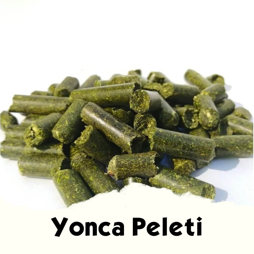 Kemirgen Yonca Peleti - MVC Organic Yem