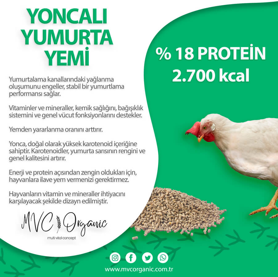 Kapak Görseli - Yoncalı Yumurta Yemi (18HP) - MVC Organic Yem