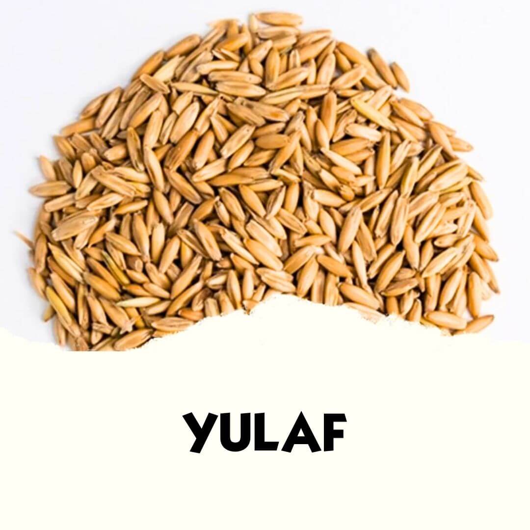 Yulaf (20 KG) - MVC Organic Yem