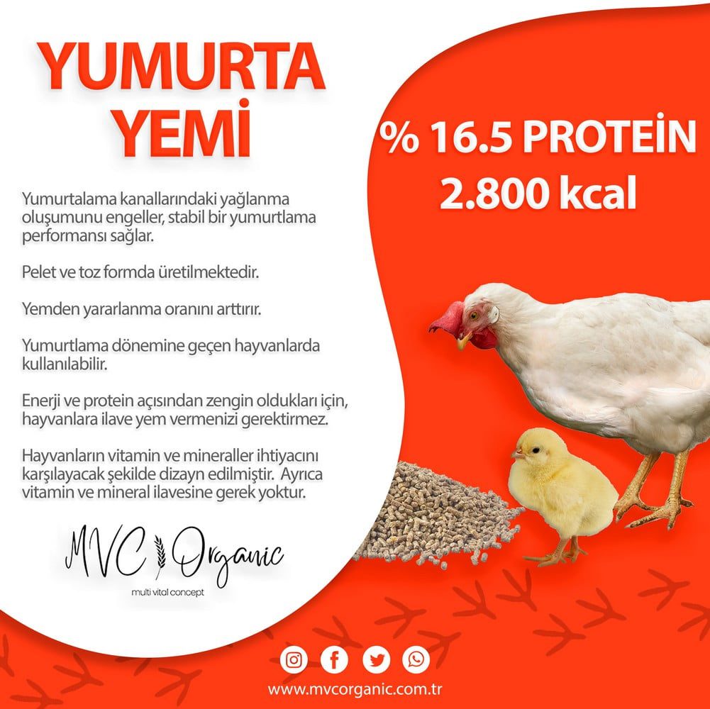 Yumurta Yemi (16HP) - MVC Organic Yem