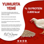 Yumurta Yemi - (18 Ham Protein)