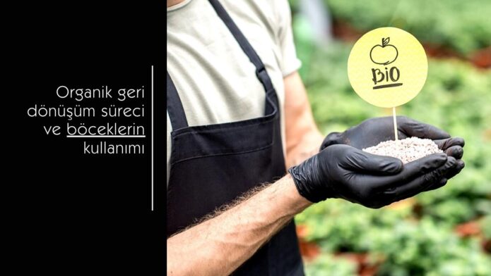 Organik toprak gübresi ve böcekler ile geri dönüşüm görseli