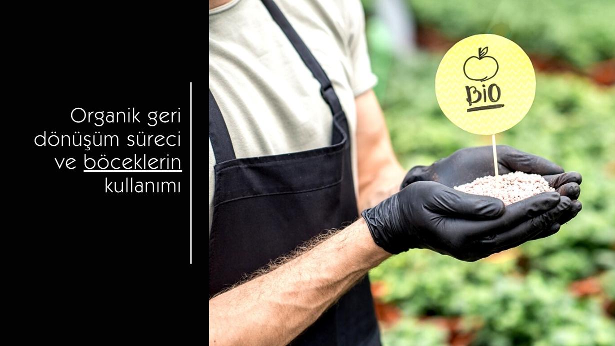 Organik toprak gübresi ve böcekler ile geri dönüşüm görseli