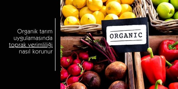 Organik tarım ve toprak verimliliği görseli