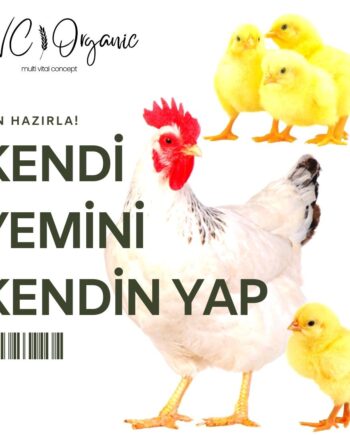 Kendi yemini kendin yap (Kanatlı)