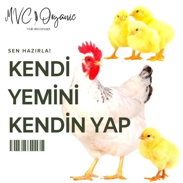 Kendi yemini kendin yap (Kanatlı)