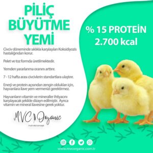 Yumurta Piliç Büyütme Yemi