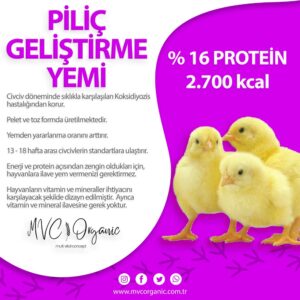 Yumurta Piliç Geliştirme Yemi