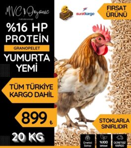 Yumurta Yemi (16HP) photo review
