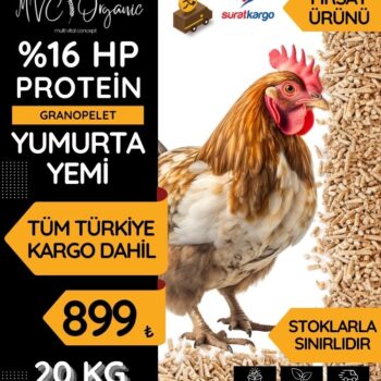 Yumurta Yemi (16HP)