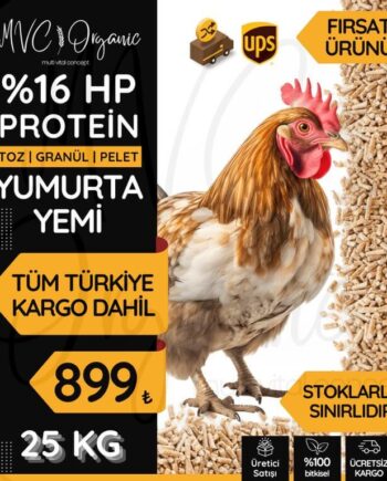 16 Protein Yumurta Yemi