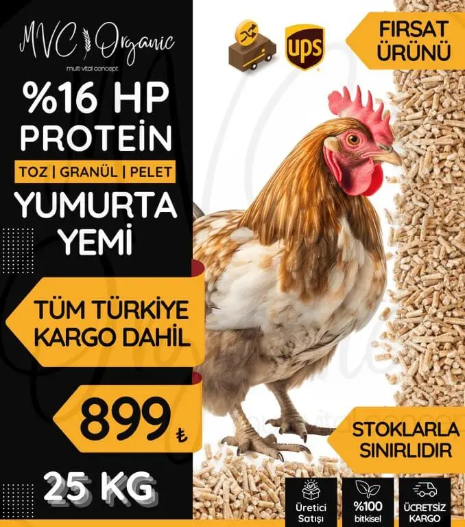 16 Protein Yumurta Yemi
