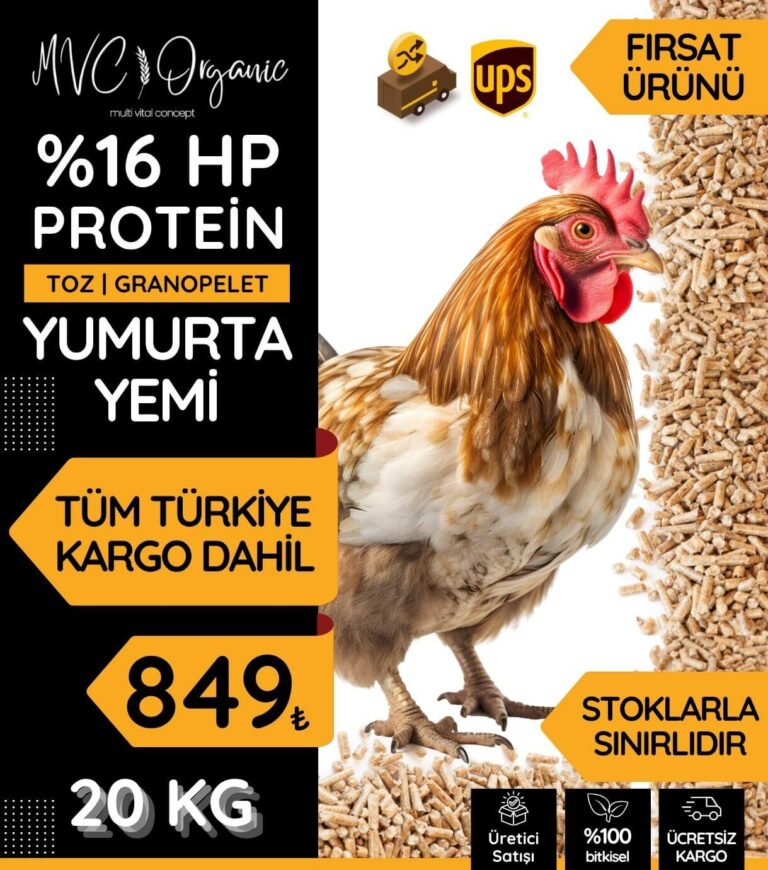 Yumurta Yemi (16HP) photo review