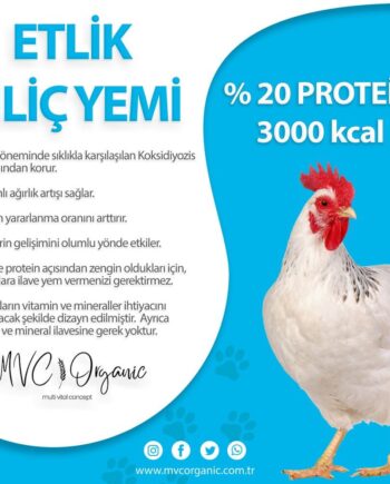Etlik Piliç Yemi (20 HP - 3000kcal)