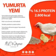 Yumurta-Yemi-(16HP)