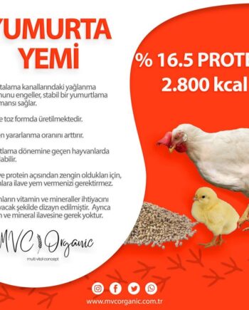 Yumurta-Yemi-(16HP)