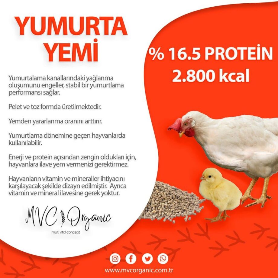 Yumurta-Yemi-(16HP)