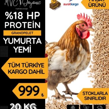 Yumurta Yemi (18HP)