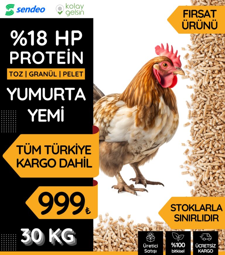 Click to view full screen Yumurta Yemi (18HP) photo review